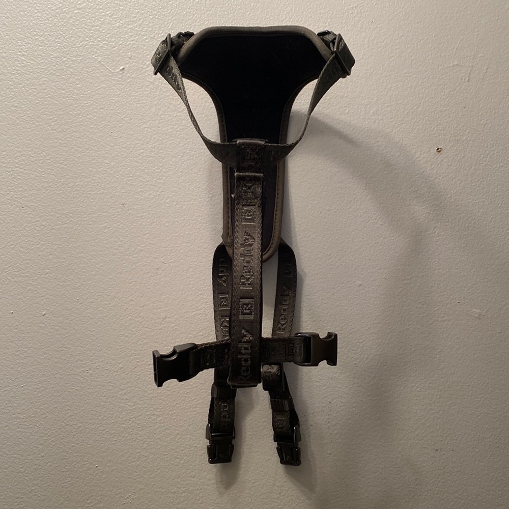 Green Reddy Small Dog Harness